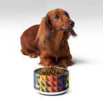 pet-bowl-white-32-oz-front-6682e812daaab-13.jpg