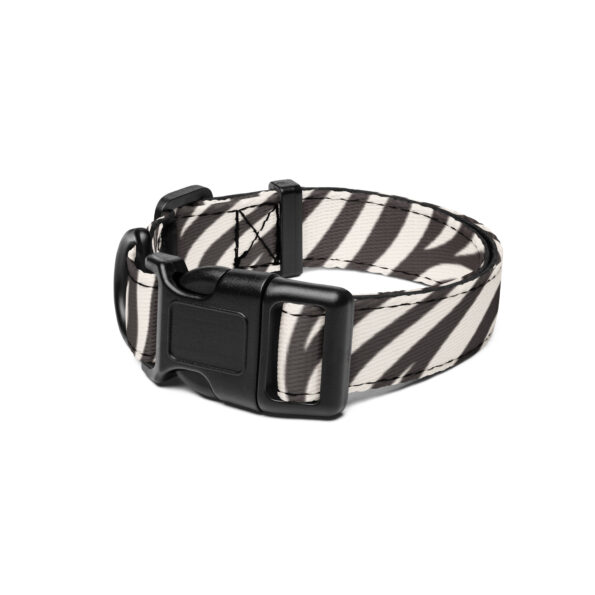 Zebra dog collar