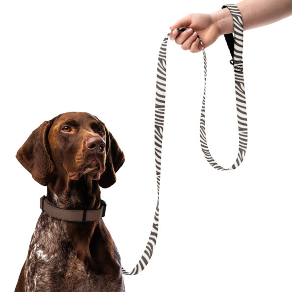 Zebra Dog Leash