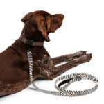 Zebra Dog Leash